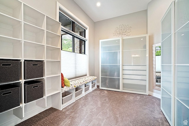3196 E 25 S, Layton, UT 84040 - mudroom featuring carpet flooring and baseboards