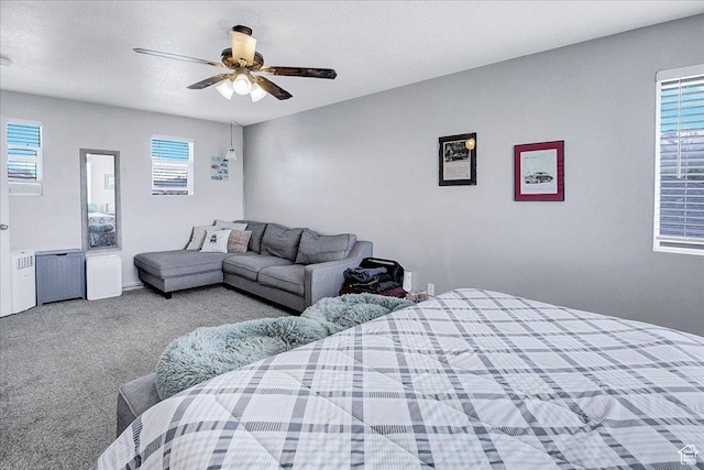 178 W Heidelberg Pl N, Stansbury Park, UT 84074 - bedroom with carpet floors and ceiling fan