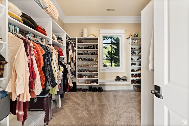 1515 E Maple St, Mapleton, UT 84664 - walk in closet featuring carpet floors