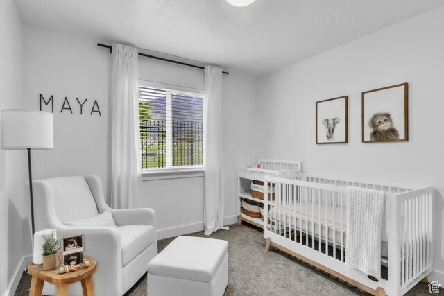 1148 S 130 E, Salem, UT 84653 - photo 22
