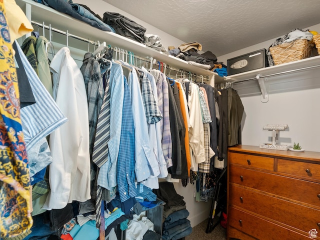 3957 S White Ash Dr, Mapleton, UT 84664 - spacious closet with carpet