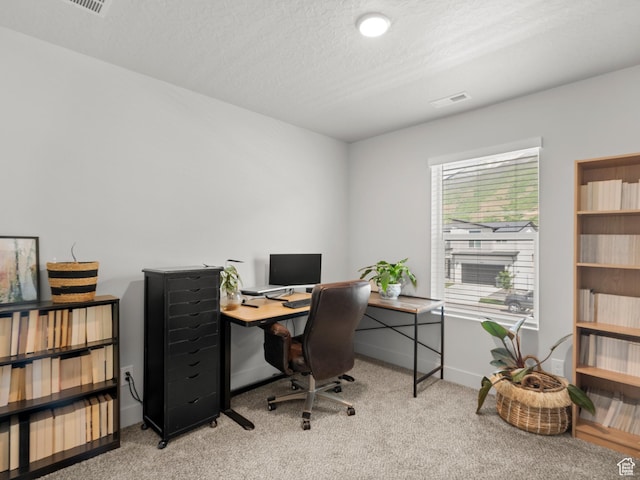 3957 S White Ash Dr, Mapleton, UT 84664 - office area with carpet flooring, baseboards, and a textured ceiling