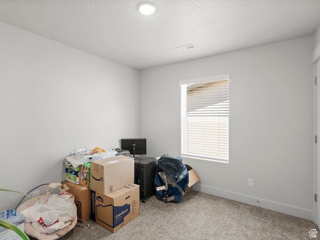 3957 S White Ash Dr, Mapleton, UT 84664 - view of storage room
