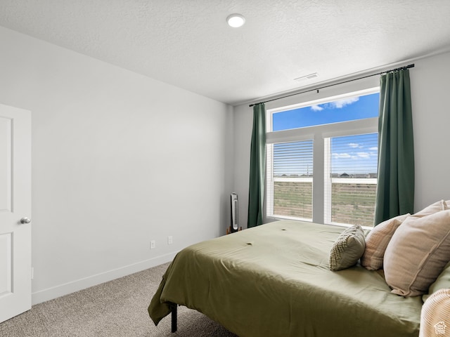 3957 S White Ash Dr, Mapleton, UT 84664 - carpeted bedroom featuring baseboards and a textured ceiling