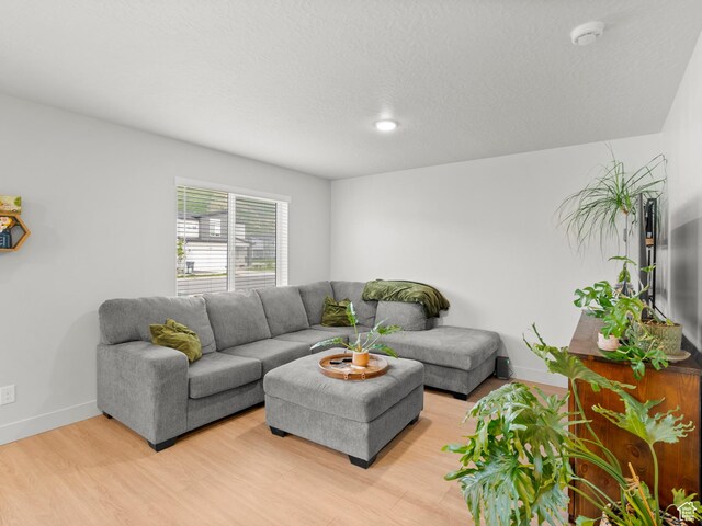 3957 S White Ash Dr, Mapleton, UT 84664 - living room featuring baseboards and light wood-style floors