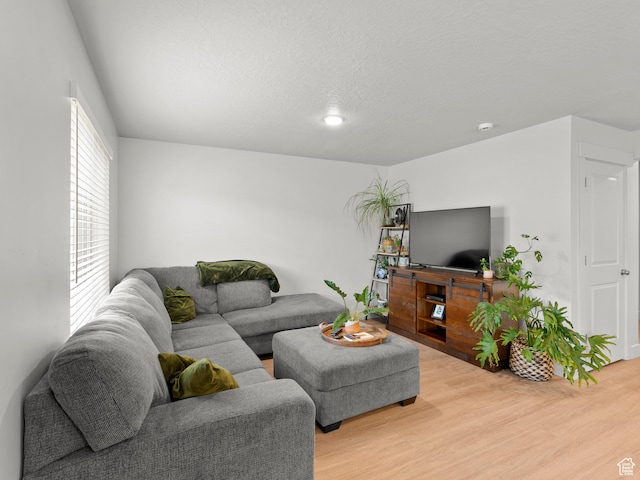 3957 S White Ash Dr, Mapleton, UT 84664 - living room with light wood finished floors