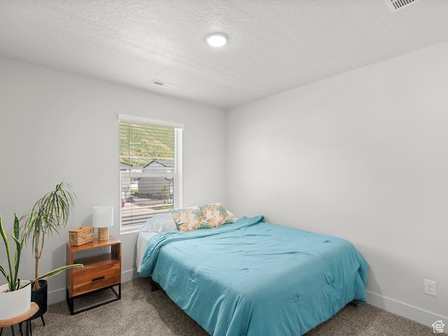 3957 S White Ash Dr, Mapleton, UT 84664 - carpeted bedroom with baseboards