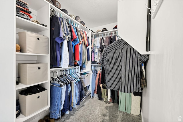 walk in closet featuring carpet floors