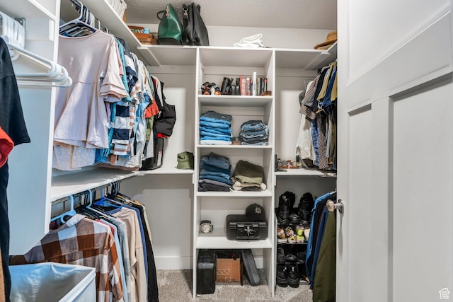 walk in closet featuring carpet flooring