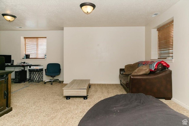 375 S 900 E, Smithfield, UT 84335 - living area featuring a textured ceiling, carpet floors, a desk, and baseboards