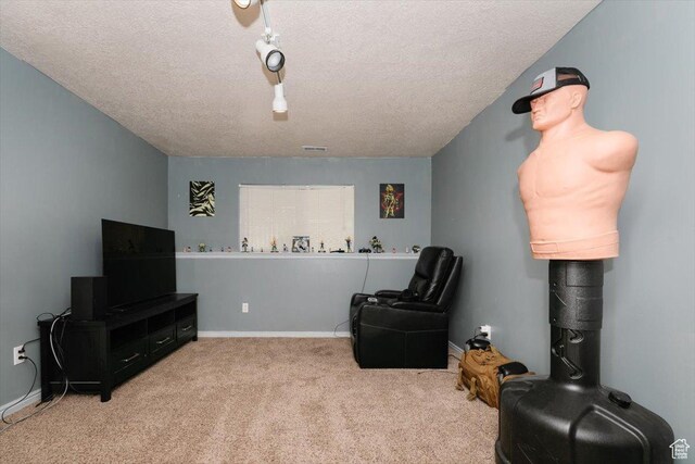 375 S 900 E, Smithfield, UT 84335 - living area with a textured ceiling, carpet flooring, and baseboards