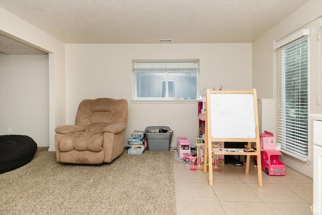 375 S 900 E, Smithfield, UT 84335 - playroom featuring a textured ceiling and tile patterned floors