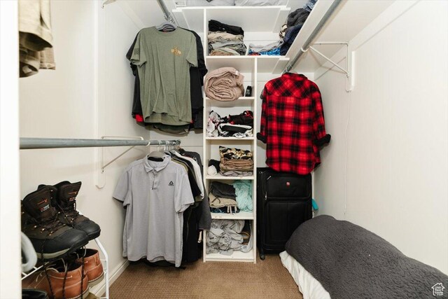 375 S 900 E, Smithfield, UT 84335 - spacious closet with carpet floors