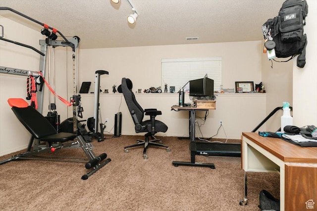 375 S 900 E, Smithfield, UT 84335 - exercise room featuring a textured ceiling, carpet floors, and baseboards