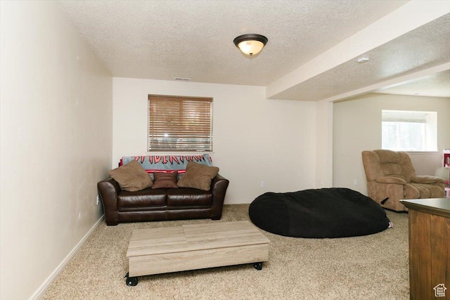375 S 900 E, Smithfield, UT 84335 - carpeted living room with a textured ceiling and baseboards