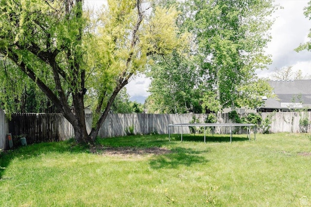 375 S 900 E, Smithfield, UT 84335 - view of yard featuring a trampoline