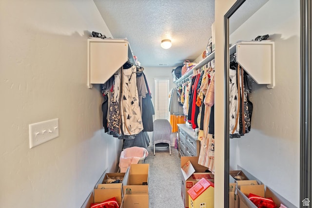715 N 2560 E, Spanish Fork, UT 84660 - walk in closet featuring carpet floors