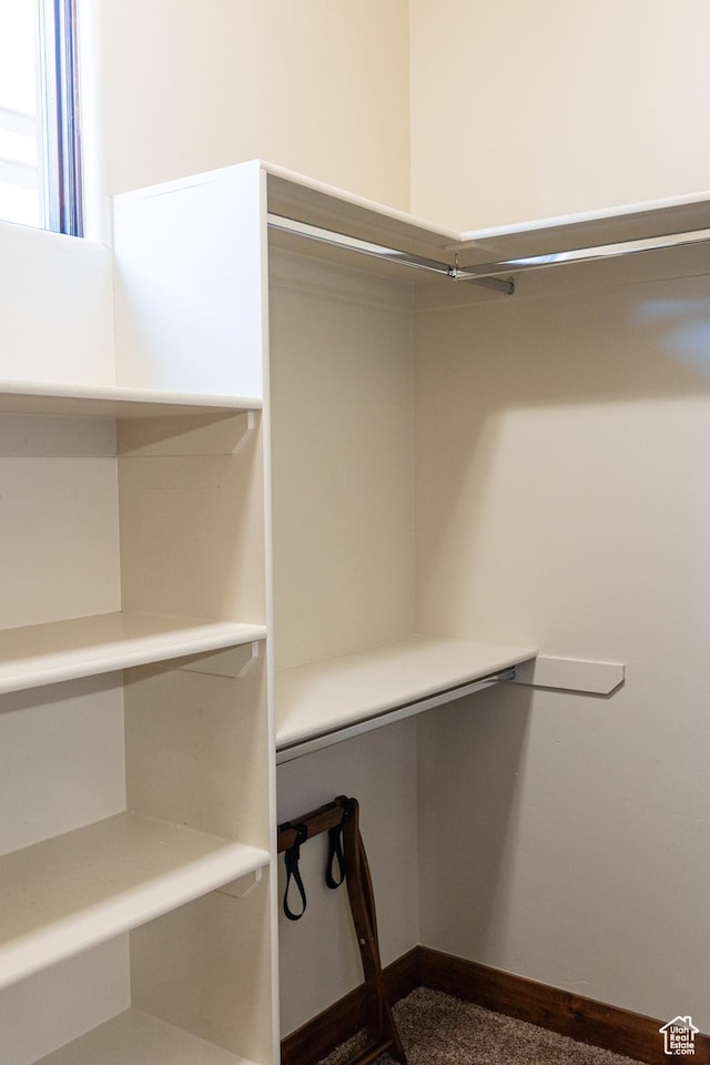 2090 N Tuweap Dr Unit 15, St George, UT 84770 - view of spacious closet