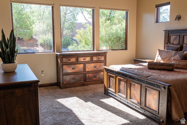 2090 N Tuweap Dr Unit 15, St George, UT 84770 - view of carpeted bedroom