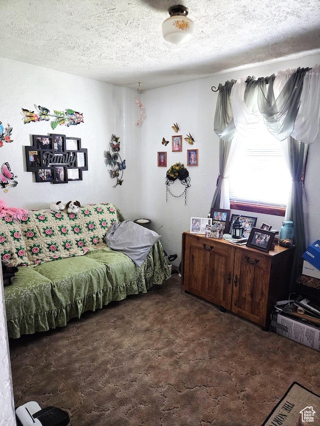 157 E 100 N, Wellington, UT 84542 - bedroom with carpet and a textured ceiling