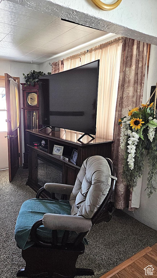 157 E 100 N, Wellington, UT 84542 - view of living area