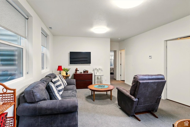 view of carpeted living area