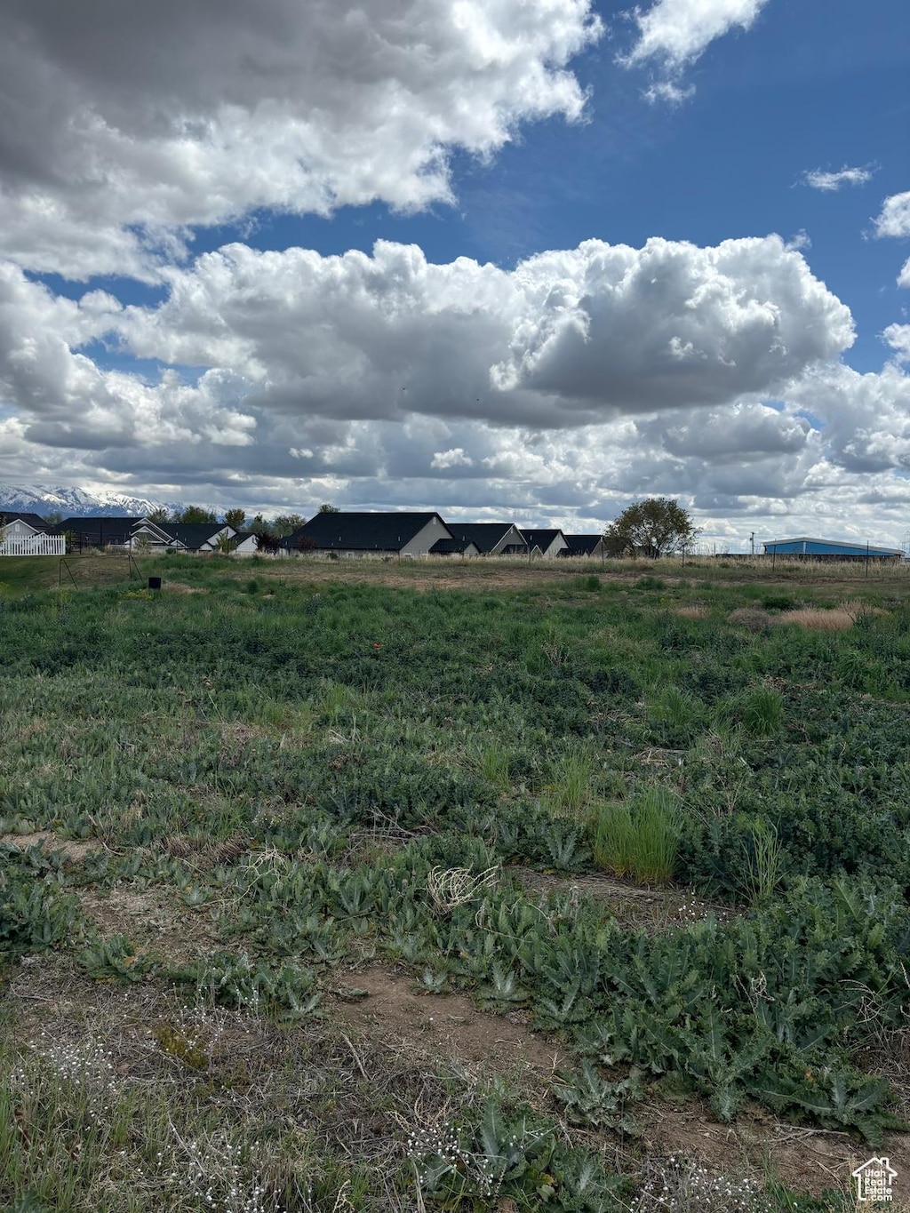 3227 W 2100 S Unit 501, West Haven, UT 84401 - photo 2