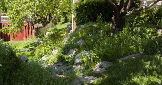 3139 N 800 E, North Ogden, UT 84414 - view of yard
