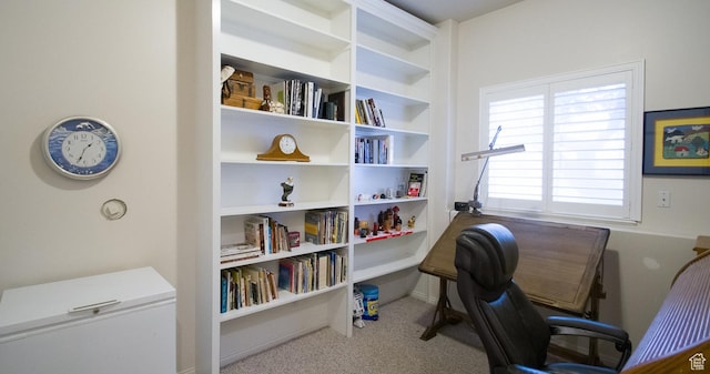 3139 N 800 E, North Ogden, UT 84414 - home office featuring carpet floors
