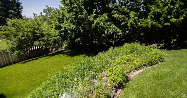 3139 N 800 E, North Ogden, UT 84414 - view of yard