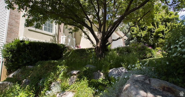 3139 N 800 E, North Ogden, UT 84414 - view of yard