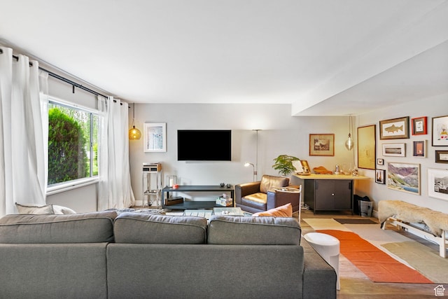 living area with wood finished floors