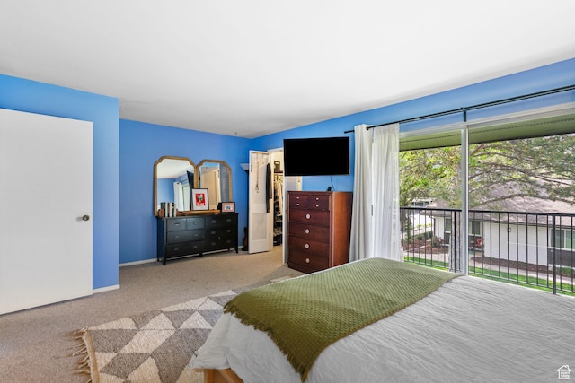 carpeted bedroom featuring access to outside, a spacious closet, a closet, and baseboards