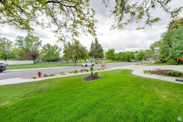 2298 W Jordan Meadows Cv, West Jordan, UT 84084 - view of yard