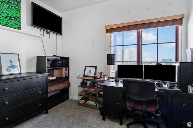 view of carpeted home office