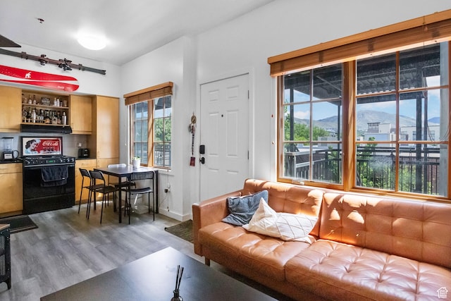 living room featuring wood finished floors, a dry bar, and baseboards