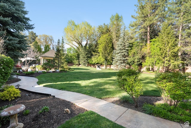 view of grassy yard