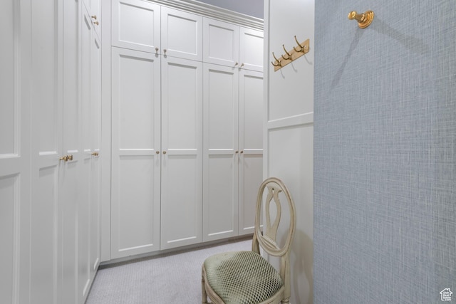 walk in closet featuring carpet flooring