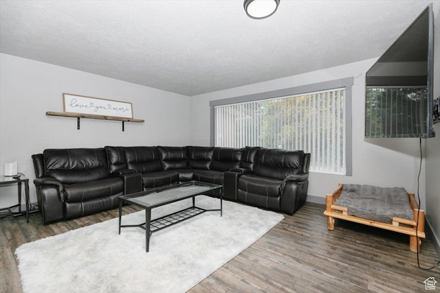living area with wood finished floors, a textured ceiling, and baseboards