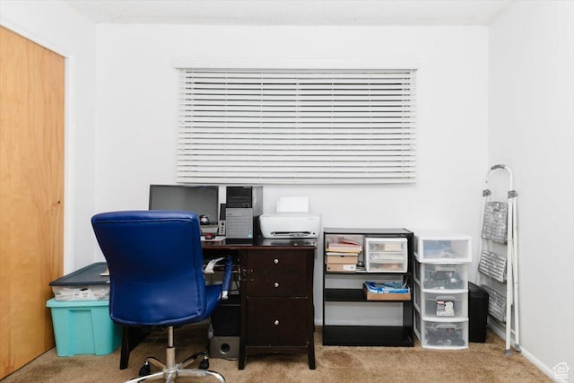 home office with carpet and baseboards
