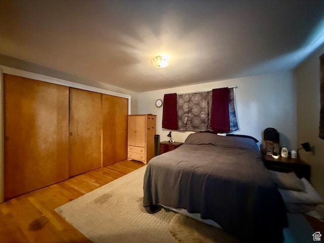 479 S Vernal Ave, Vernal, UT 84078 - bedroom with wood finished floors and a closet