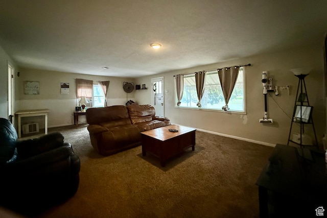 479 S Vernal Ave, Vernal, UT 84078 - living area with carpet floors and baseboards