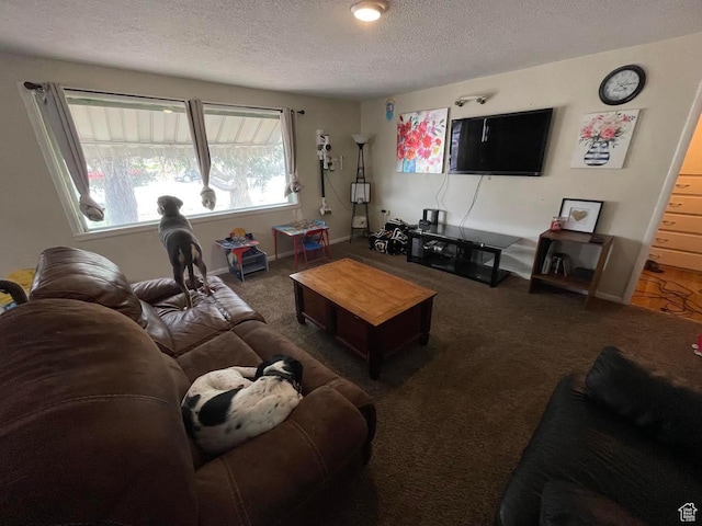 479 S Vernal Ave, Vernal, UT 84078 - living room with a textured ceiling and carpet