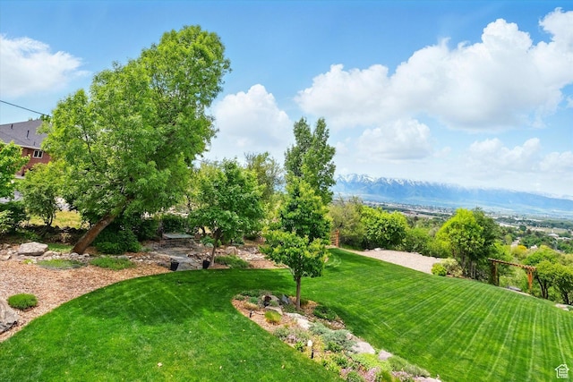 view of green lawn