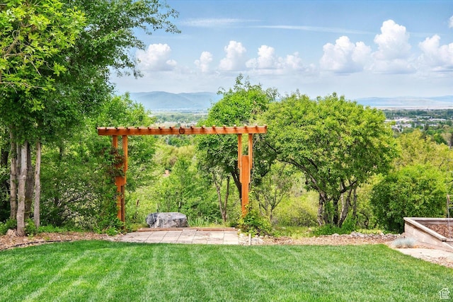 view of grassy yard featuring a mountain view