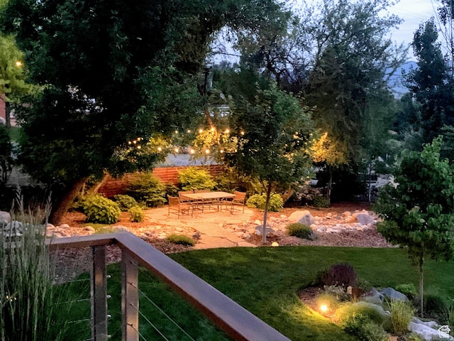 view of green lawn with a patio