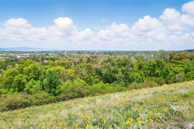 view of tree filled area