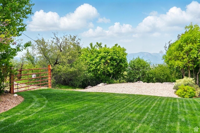 view of grassy yard with a mountain view