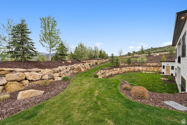 1677 Lambert Ln, Kamas, UT 84036 - view of green lawn