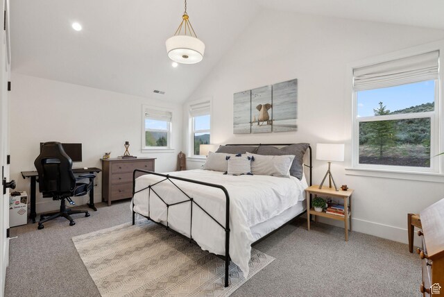 1677 Lambert Ln, Kamas, UT 84036 - bedroom with carpet, an office area, high vaulted ceiling, and baseboards